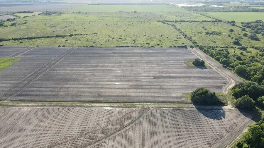 0 CR 343 (Harter Road), Blessing, TX 77419 - #3