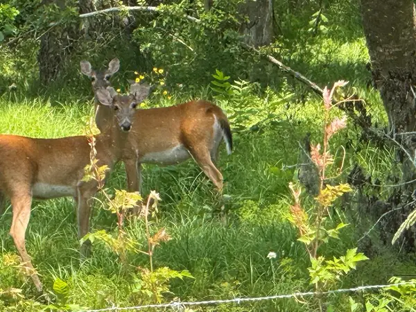 0 County Park Rd, ANGLETON, TX 77515