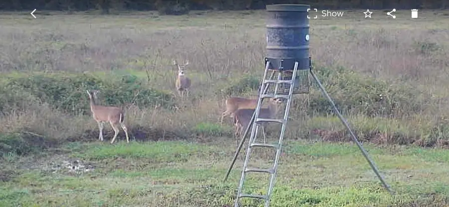 00 Apache Trail, Angleton, TX 77515 - Image #3