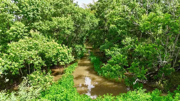 31100 Old Sour Lake Rd, Other, TX 77659