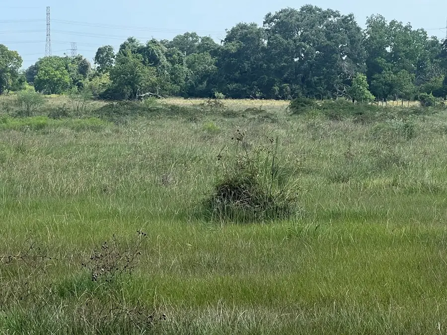 0 Draeger Drive, West Columbia, TX 77486 - Image #2