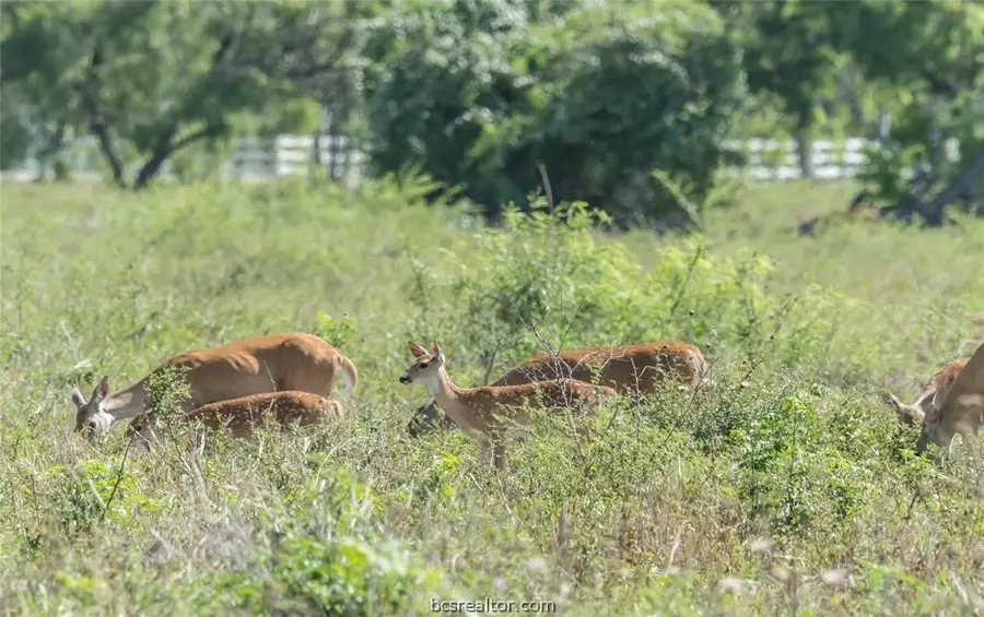 Tract 2 County Road 409, Beeville, TX 78102 - #3