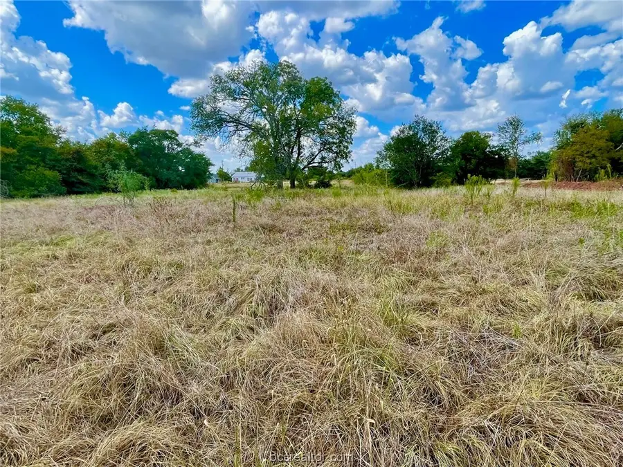 281 E Fm 979, Franklin, TX 77856 - #2