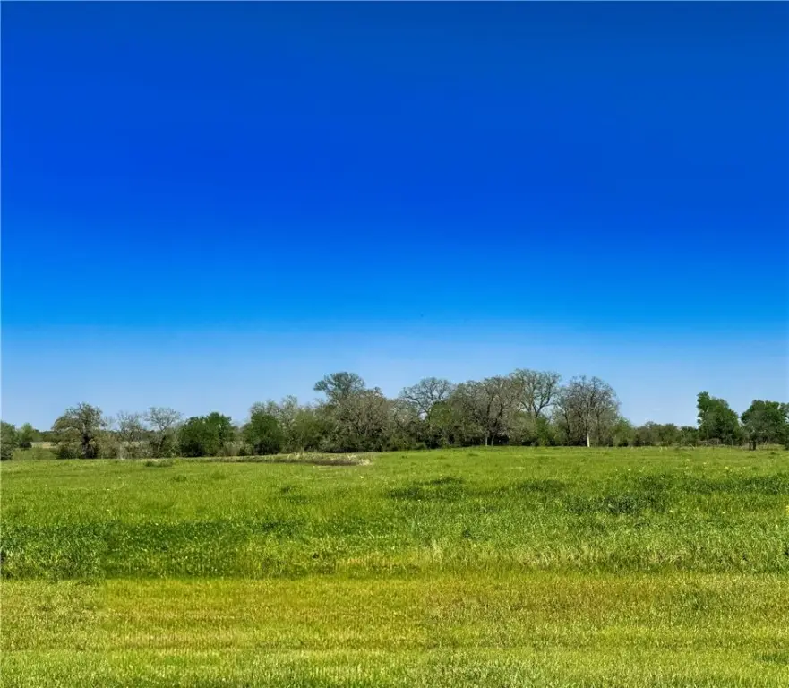 10068 Panther Creek Drive, Iola, TX 77861 - #1
