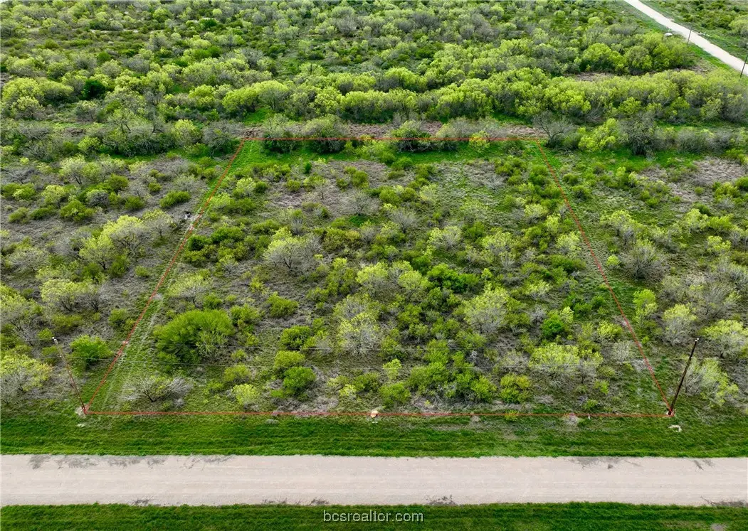 Lot 39 Pr Frio Estates Drive, Other, TX 78057 - #1