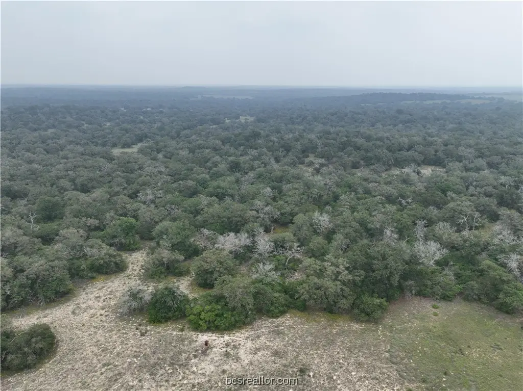 TR 13 Private Road, Southeast Guadalupe, TX 78155 - #1