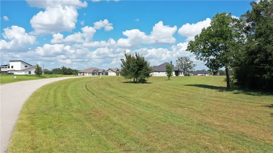 10239 Henley Cove, Iola, TX 77861 - #2