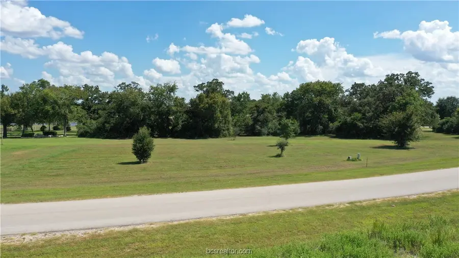10239 Henley Cove, Iola, TX 77861 - #3