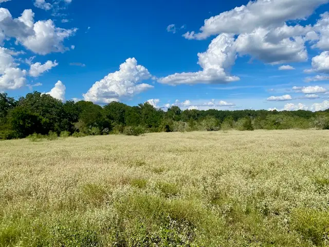 TBD County Road 120, Caldwell, TX 77836 - Image #2