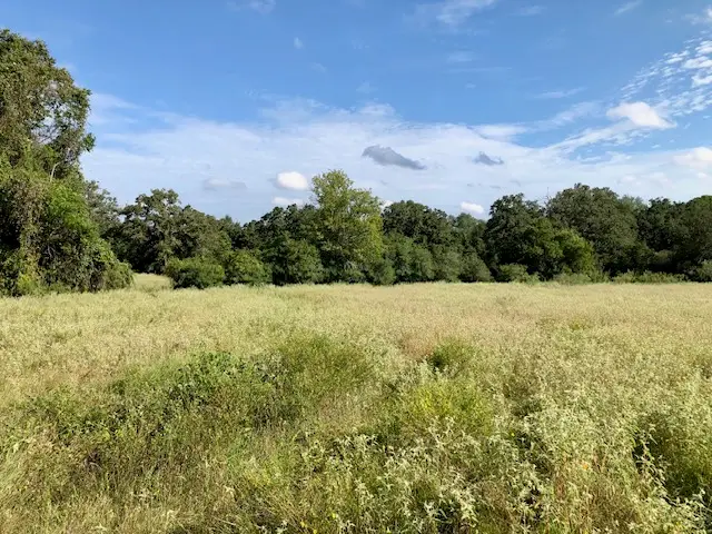 TBD County Road 120, Caldwell, TX 77836 - Image #3