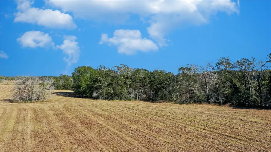 Lot 5 County Rd 229, Bedias, TX 77831 - #2
