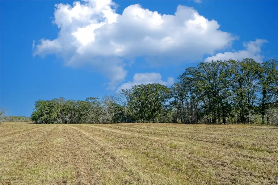 Lot 5 County Rd 229, Bedias, TX 77831 - #3