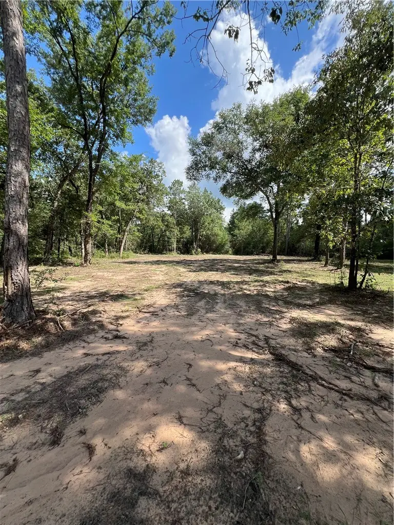TBD Lot 2 Deerwood Drive, Plantersville, TX 77363 - #1