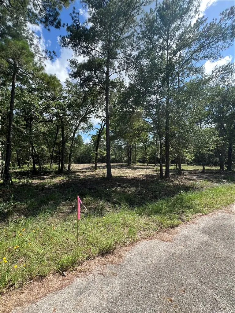 TBD Lot 2 Deerwood Drive, Plantersville, TX 77363 - #2