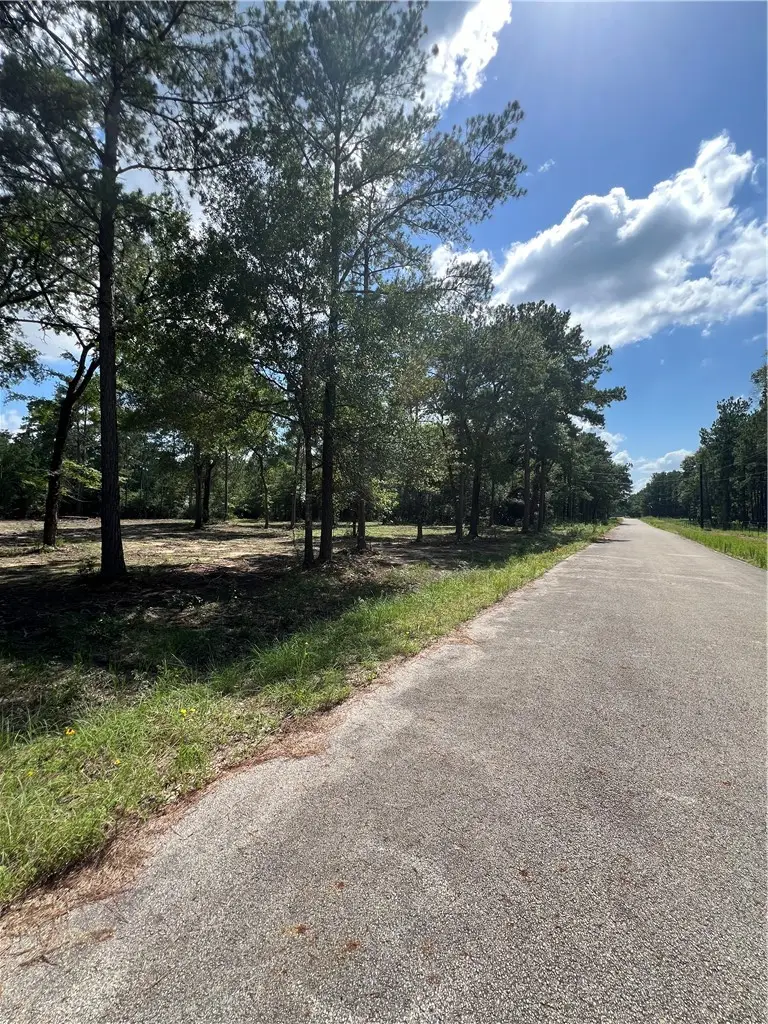 TBD Lot 2 Deerwood Drive, Plantersville, TX 77363 - #3