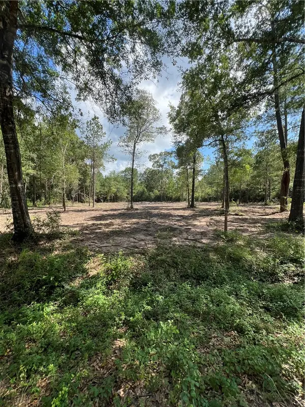 TBD Lot 3 Deerwood Drive, Plantersville, TX 77363