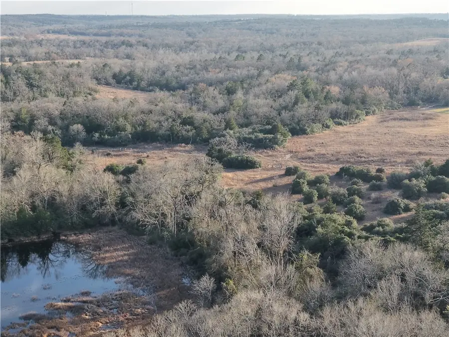 60Acres TBD Cr 417, Normangee, TX 77871 - #3