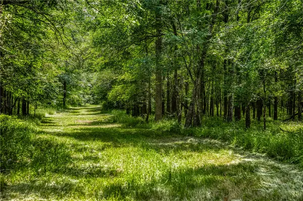 TBD Cr 443 (tract 2: +/-250 Acres), Snook, TX 77878