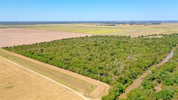 TBD County Road 443, Snook, TX 77878