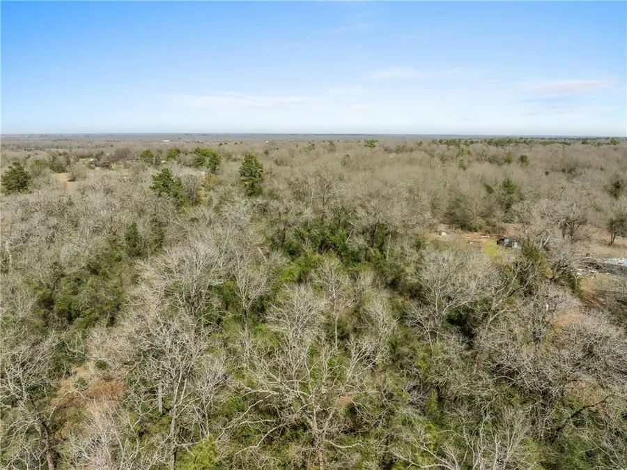 6671 Cotton Street, Bedias, TX 77831 - #2