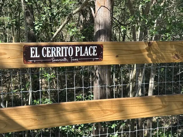 1800 Big Berry Road, Somerville, TX 77879 - #1