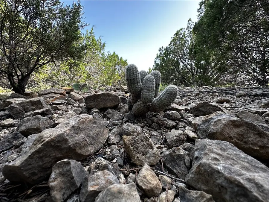 0000 S Bosley Rd, Palo Pinto Santo, TX 76472 - #2
