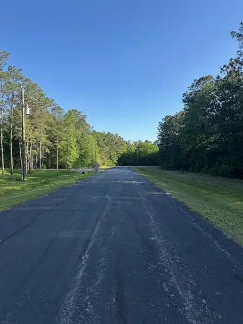 17650 Julianne Drive, Waller, TX 77484 - #2