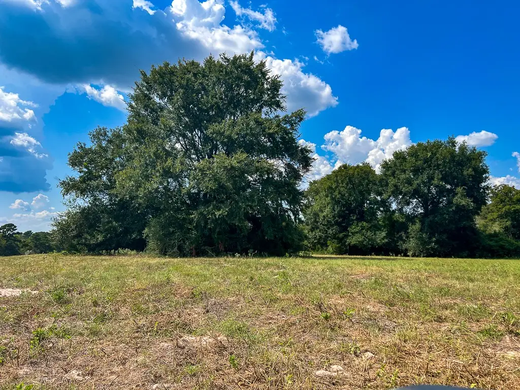 1957 County Road 155, Bedias, TX 77831 - #1