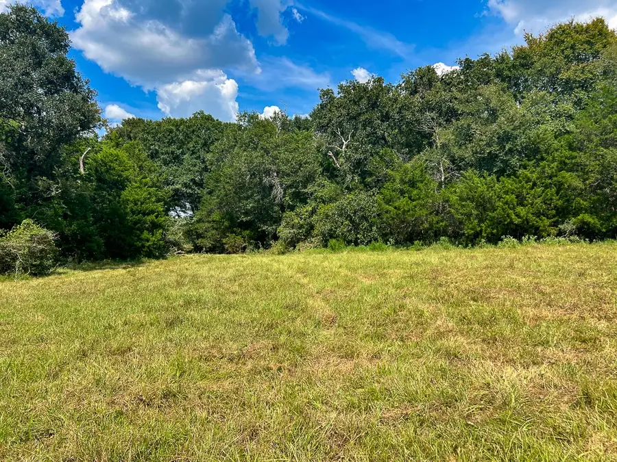 1957 County Road 155, Bedias, TX 77831 - #2