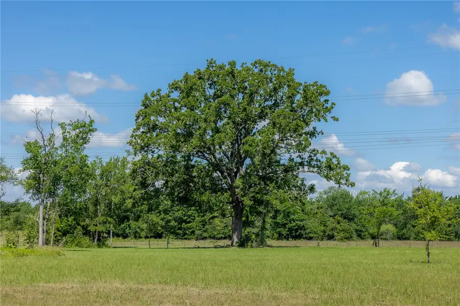 6781 Atakapan Trail, Bedias, TX 77831 - #2