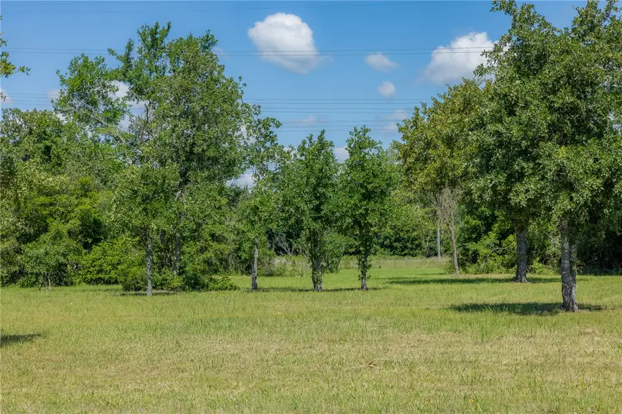 6757 Atakapan Trail, Bedias, TX 77831 - #2
