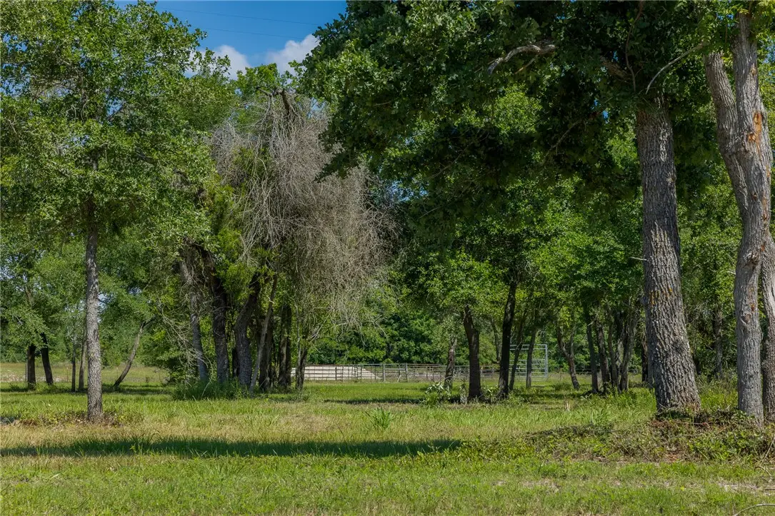 6705 Atakapan Trail, Bedias, TX 77831 - #1