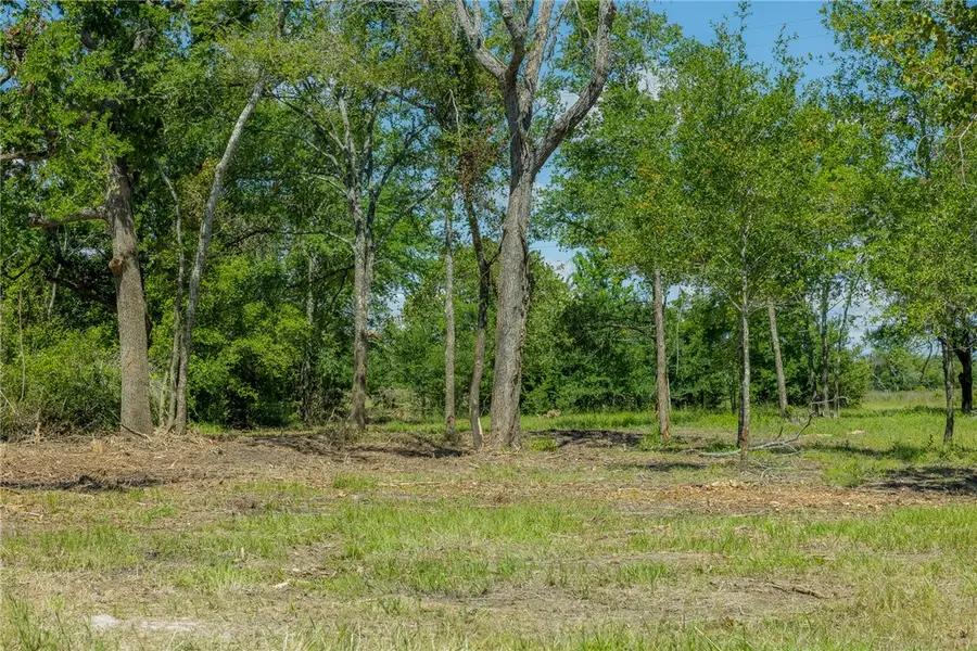 6593 Atakapan Trail, Bedias, TX 77831 - #2