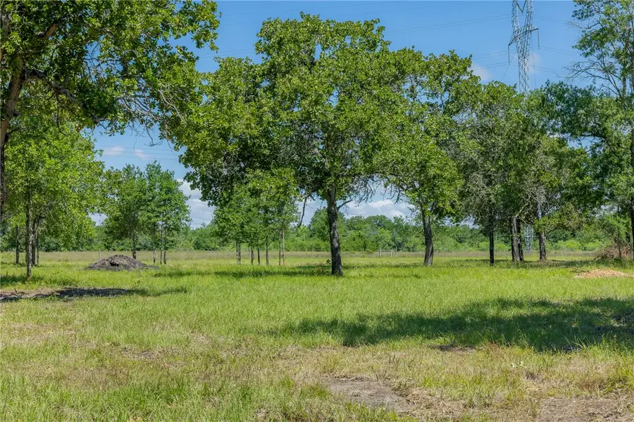 6593 Atakapan Trail, Bedias, TX 77831 - #3