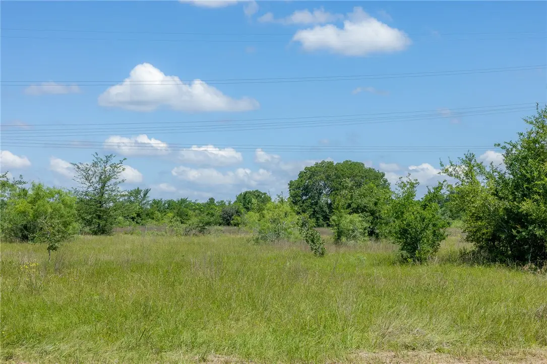 6507 Atakapan Trail, Bedias, TX 77831 - #1