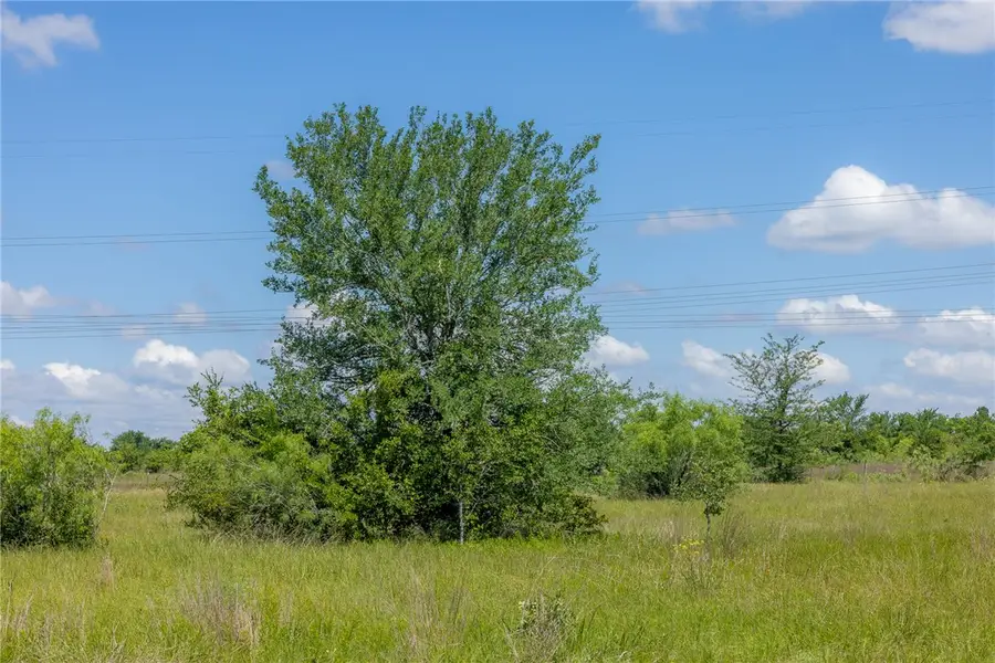 6507 Atakapan Trail, Bedias, TX 77831 - #3