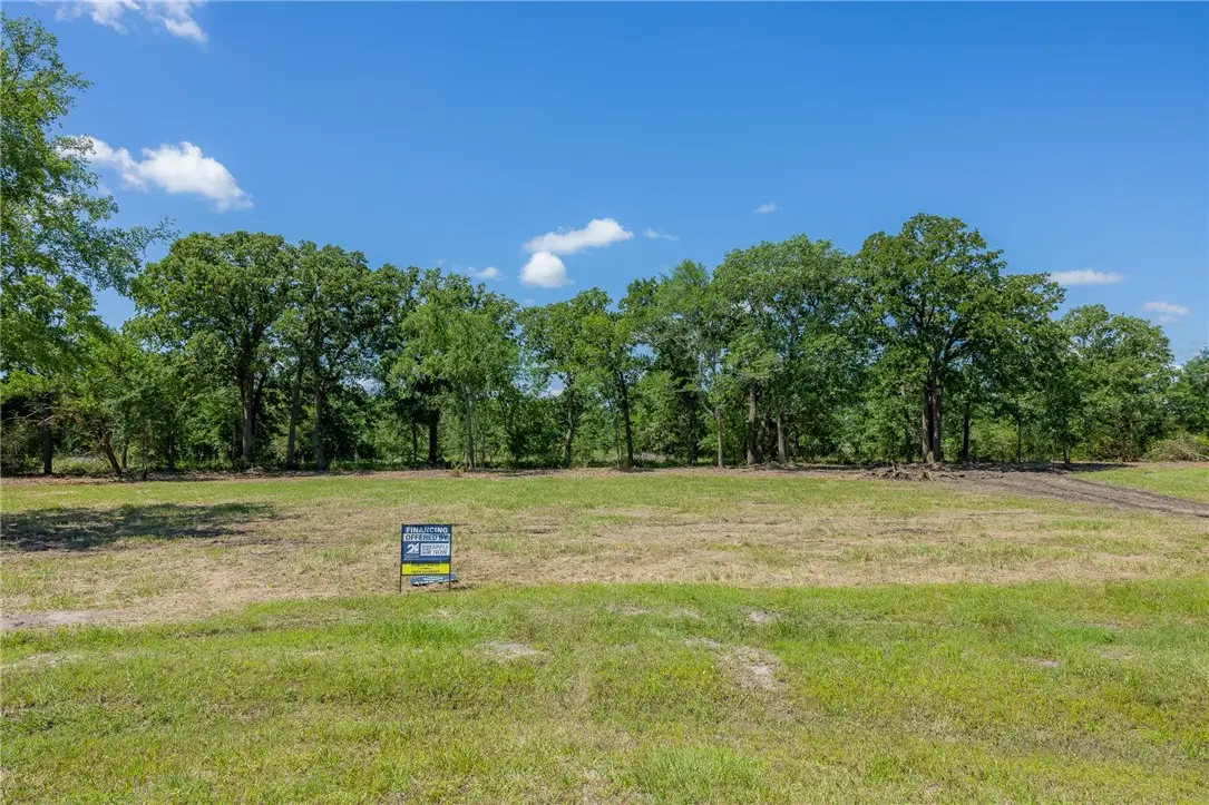 6512 Atakapan Trail, Bedias, TX 77831 - #1