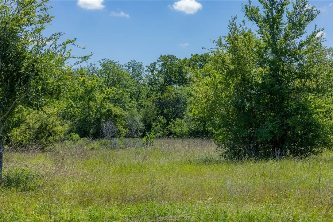 6534 Atakapan Trail, Bedias, TX 77831 - #1