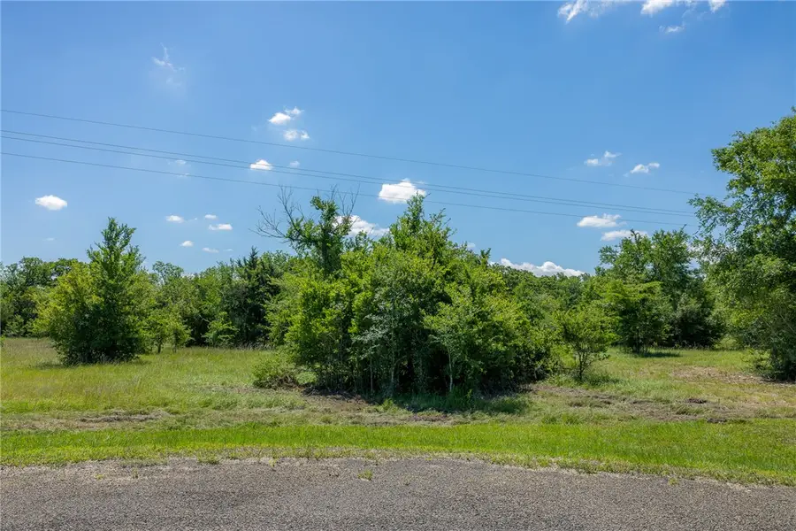 6534 Atakapan Trail, Bedias, TX 77831 - #2