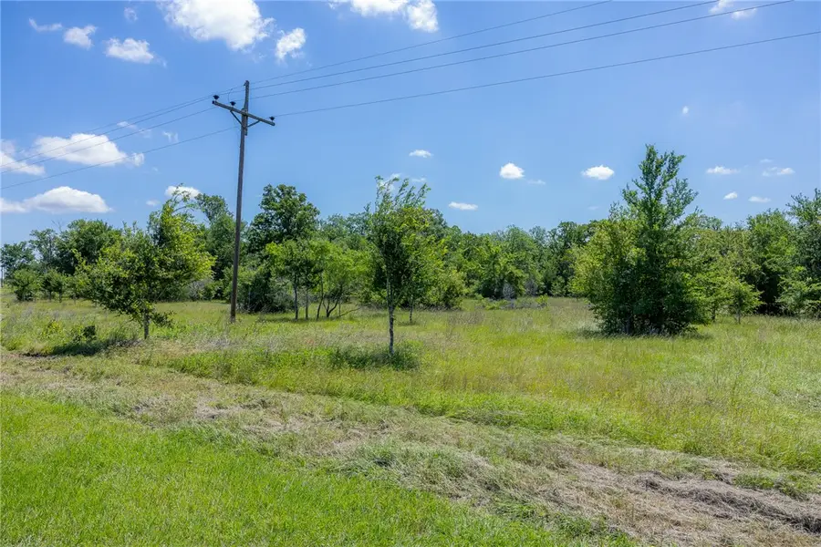 6534 Atakapan Trail, Bedias, TX 77831 - #3
