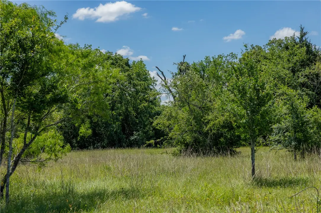 6558 Atakapan Trail, Bedias, TX 77831 - #1