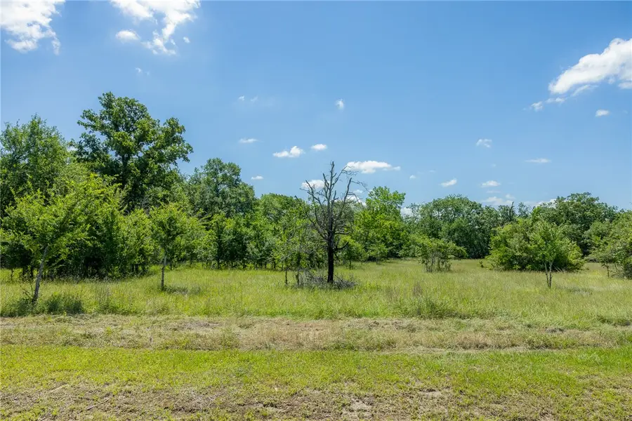 6584 Atakapan Trail, Bedias, TX 77831 - #2