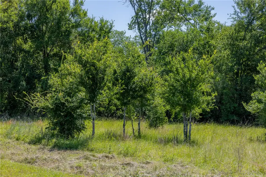 6584 Atakapan Trail, Bedias, TX 77831 - #3