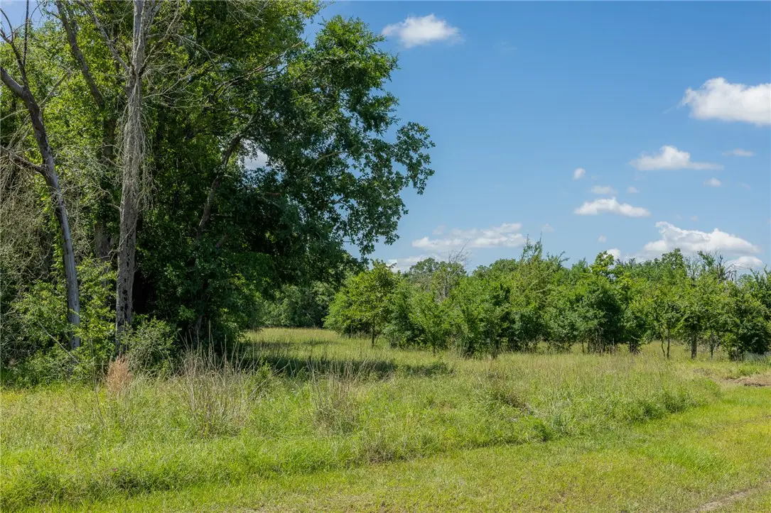 10649 Atakapan Trail, Bedias, TX 77831 - #1