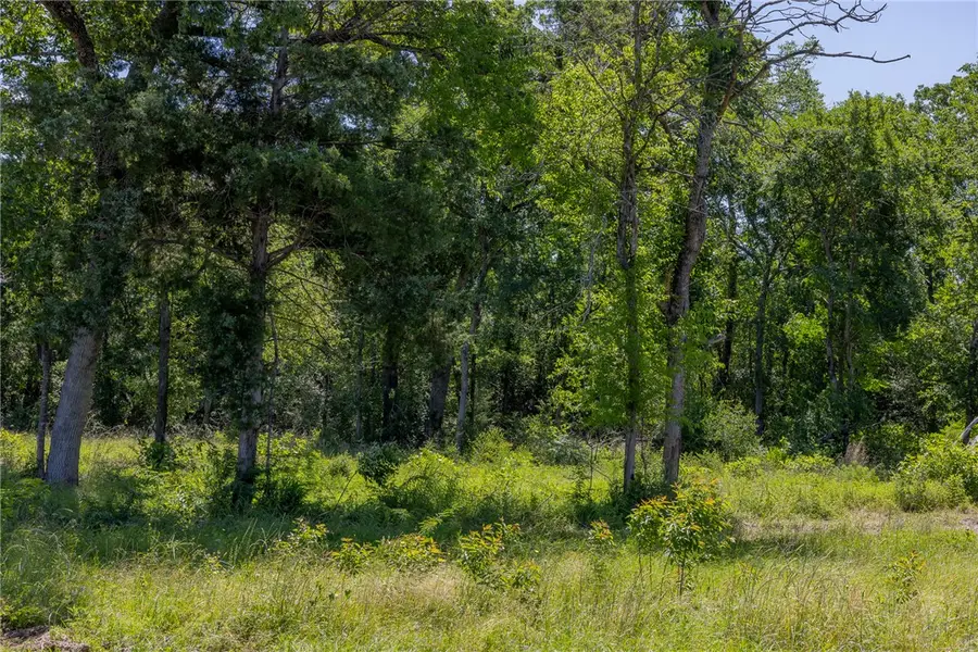 10649 Atakapan Trail, Bedias, TX 77831 - #2