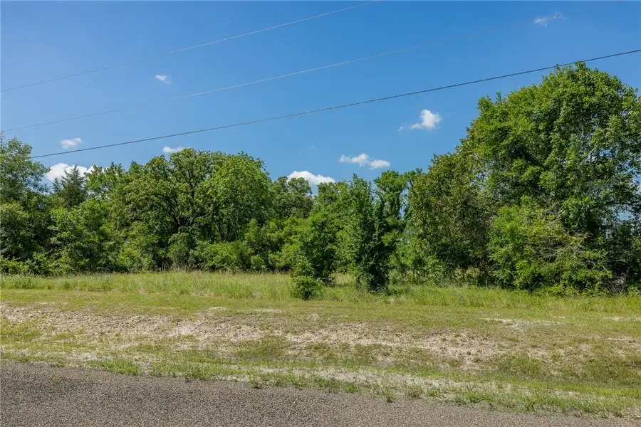 10649 Atakapan Trail, Bedias, TX 77831 - #3