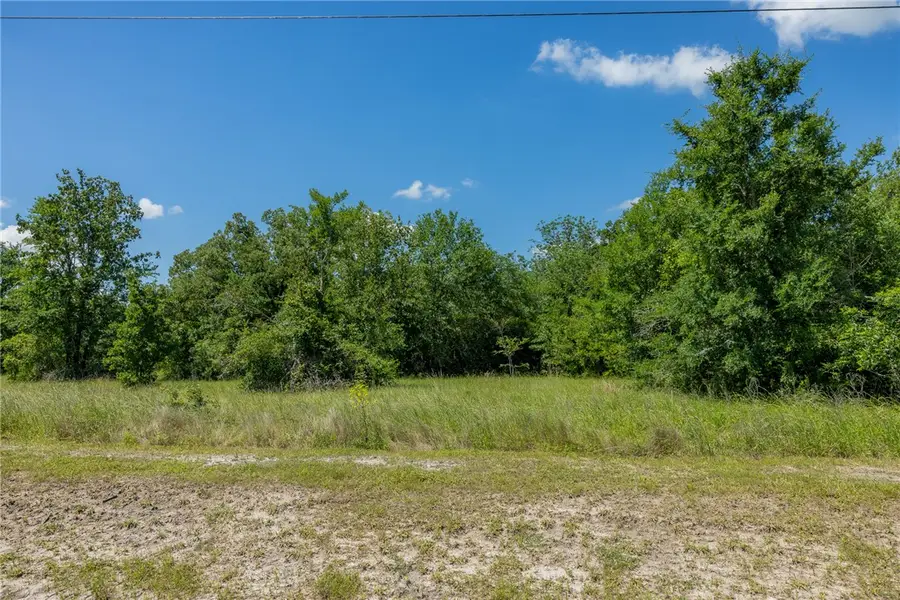 10677 Brushwood Cutoff, Bedias, TX 77831 - #2