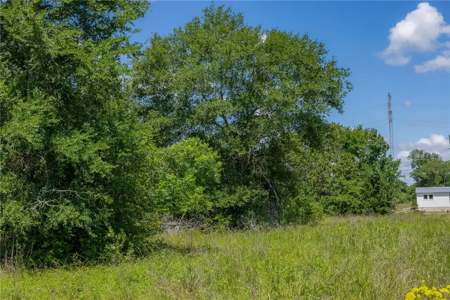 10677 Brushwood Cutoff, Bedias, TX 77831 - #3