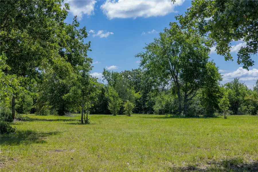 6724 Atakapan Trail, Bedias, TX 77831 - Image #2
