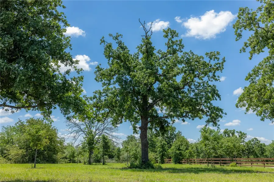 6724 Atakapan Trail, Bedias, TX 77831 - Image #3